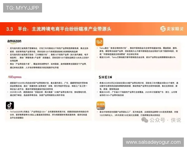 云开国际站助力企业全球化发展实现跨境电商快速增长的最佳解决方案
