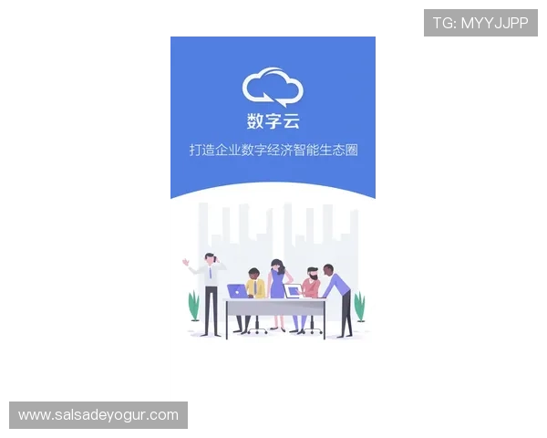 开云数字站打造一站式数字解决方案满足不同行业的个性化需求